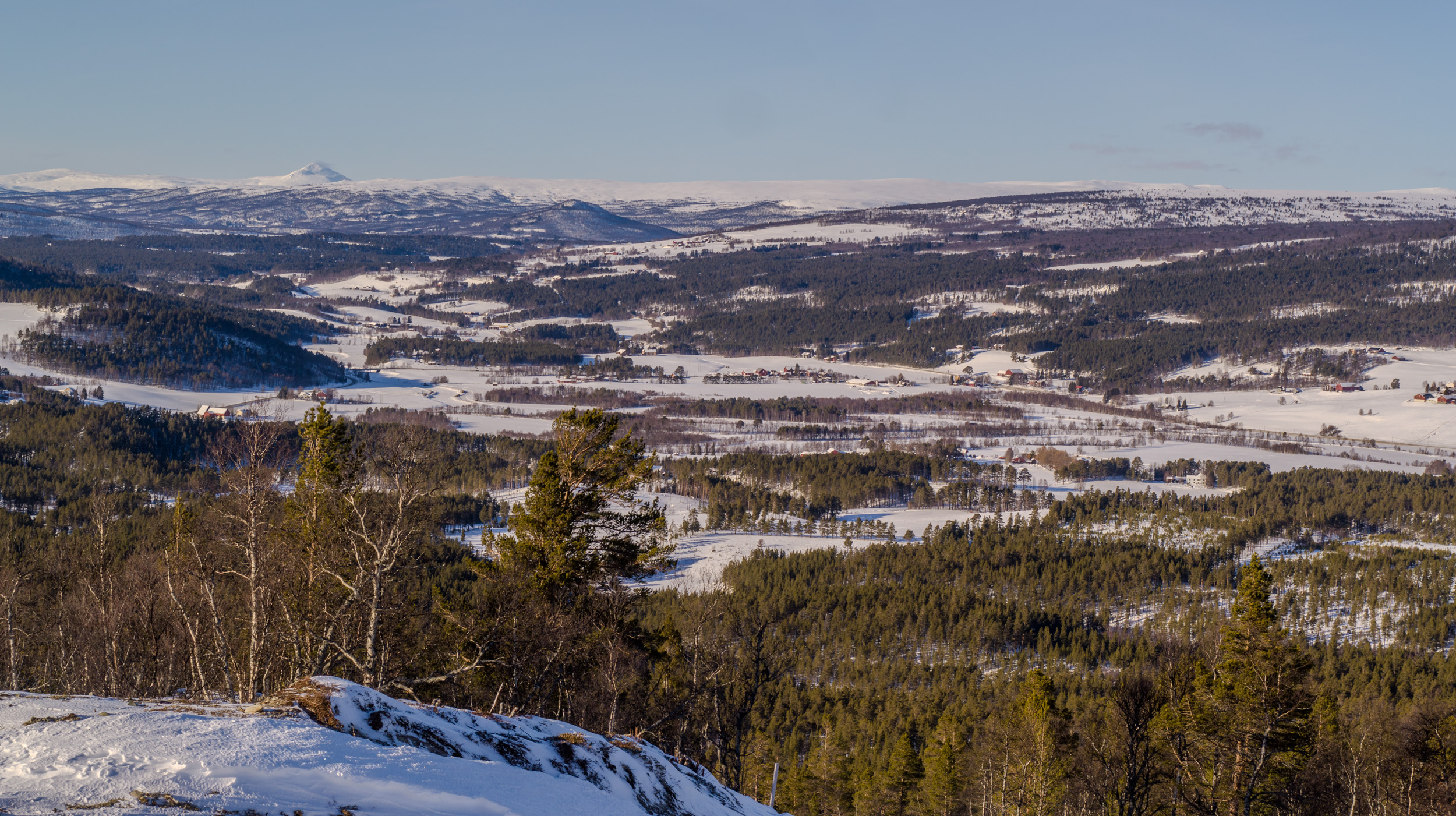 Fjelli Øvre Hyttefelt