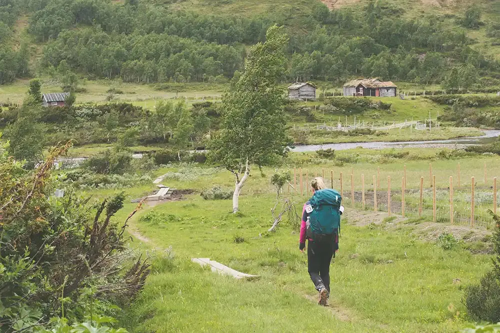 Vandring i Forollhogna nasjonalpark