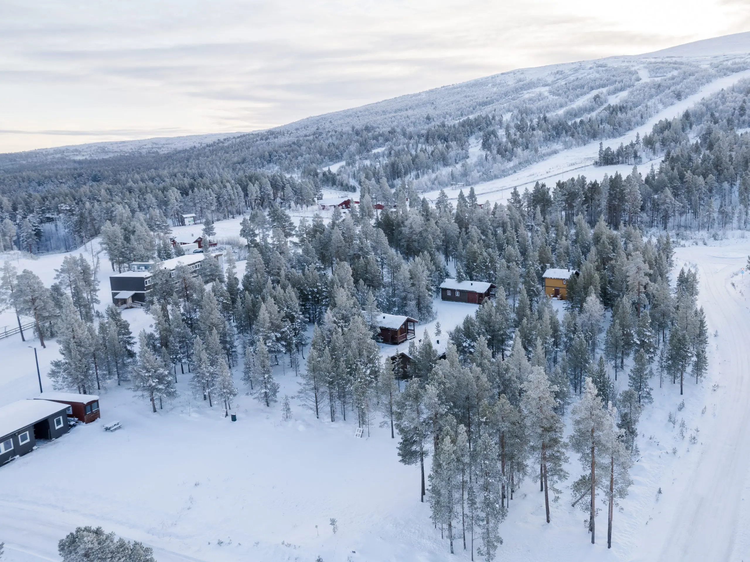Stormoen i Hummelfjell nær Røros