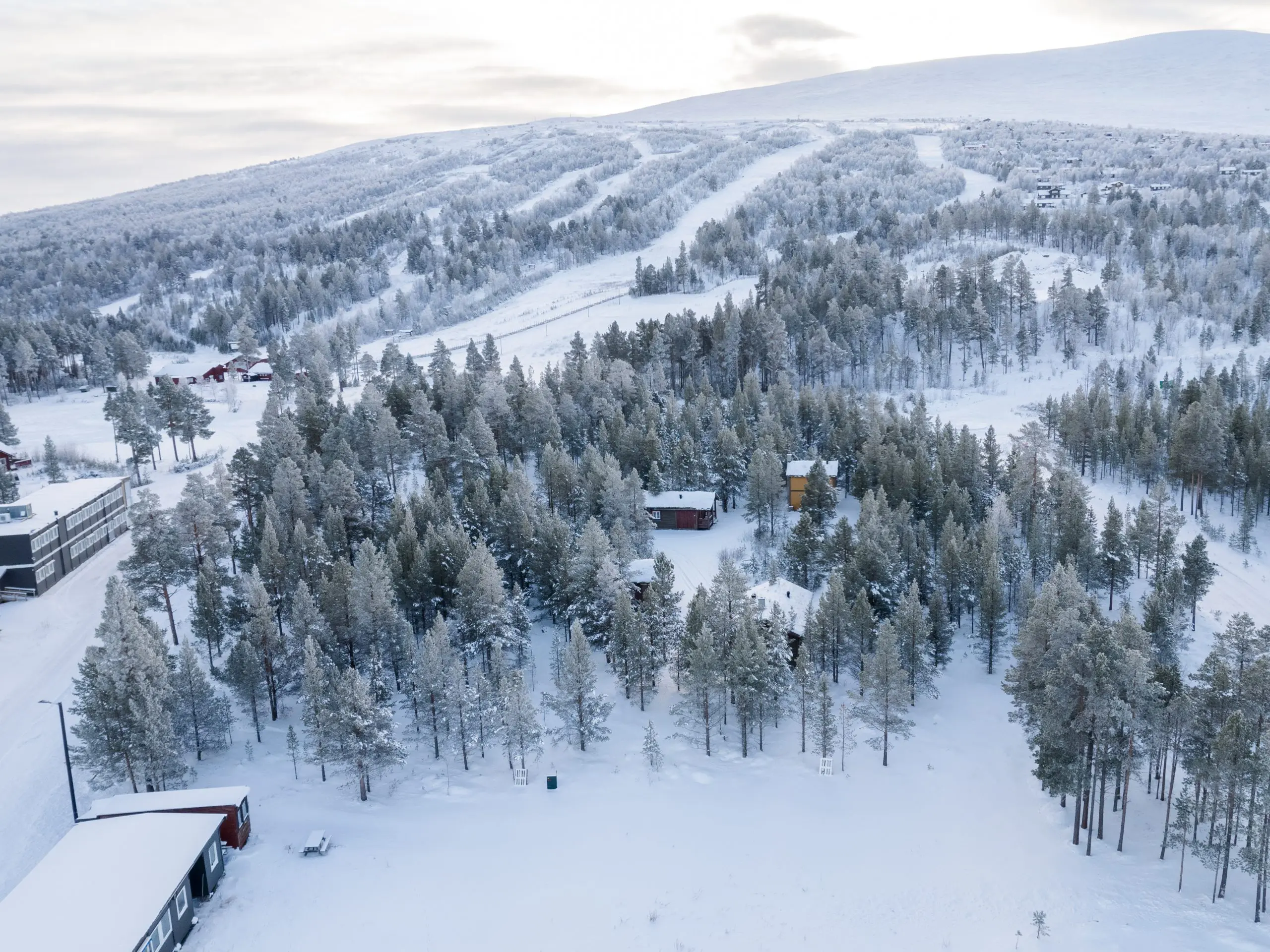 Stormoen i Hummelfjell nær Røros