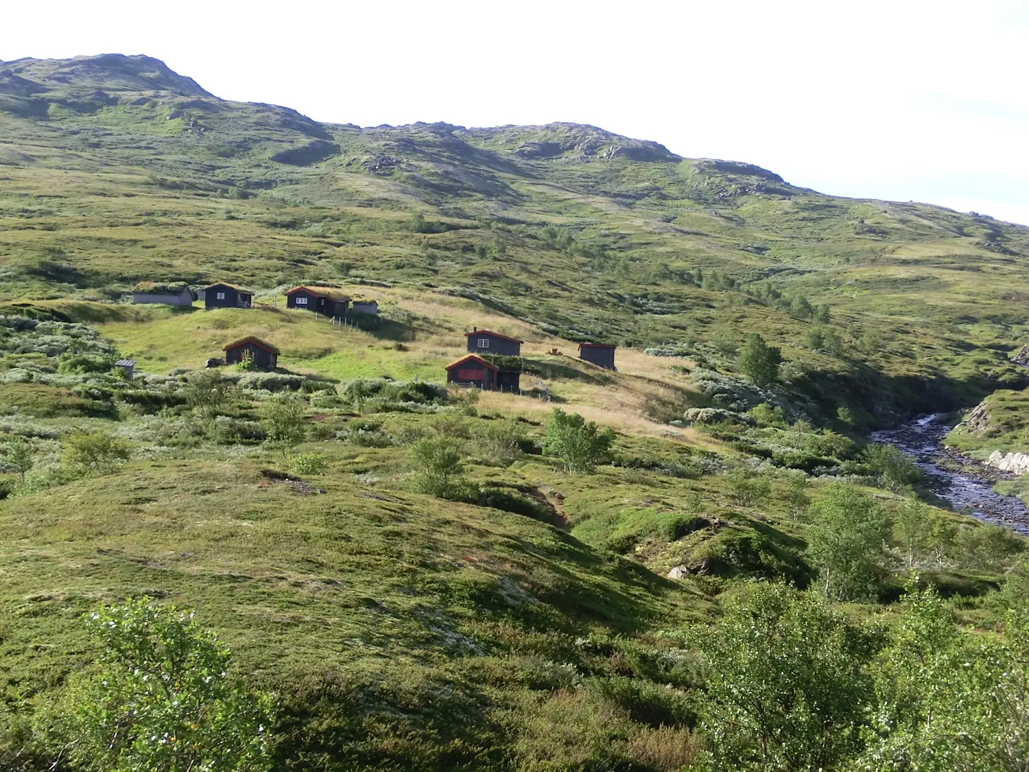 Forollhogna nasjonalpark